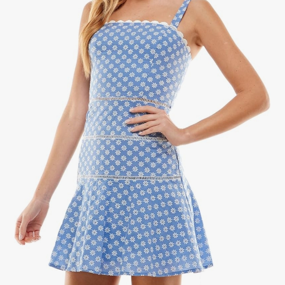 Blue & White Cotton Floral Sleeveless Mini Dress Sundress Eyelet M/L Resort B9